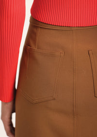 Brown skirt with red top on a white background